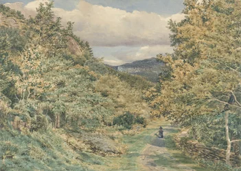 Une route près de Bettws-y-Coed, 1851
